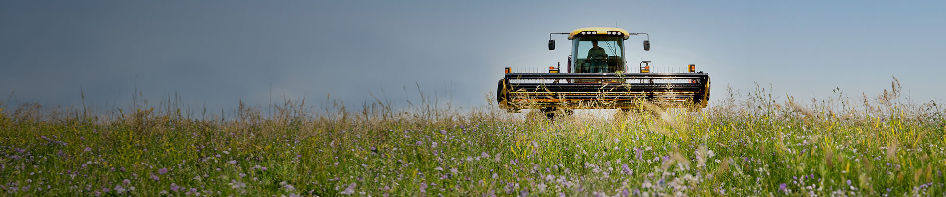 Crafting Premium Forage Products with Natural Excellence